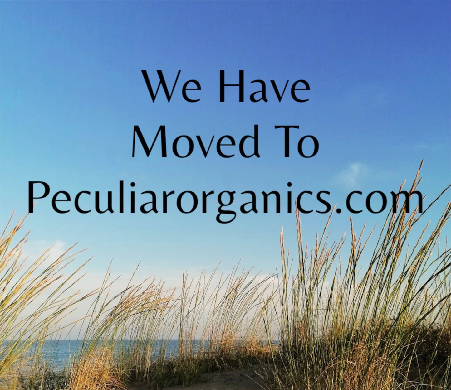 PeculiarOrganics.com / Seamoss